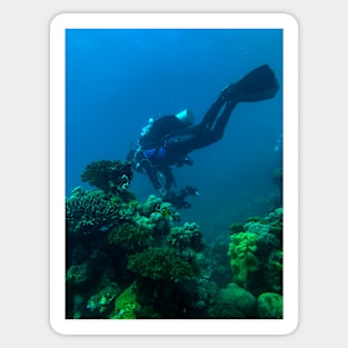 Coral Reef and Scuba Diver Sticker